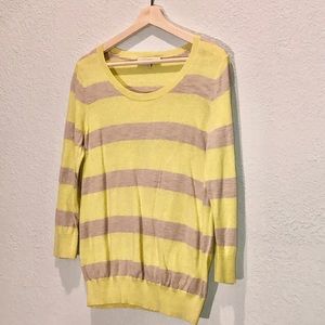 LOFT Crew Neck Sweater